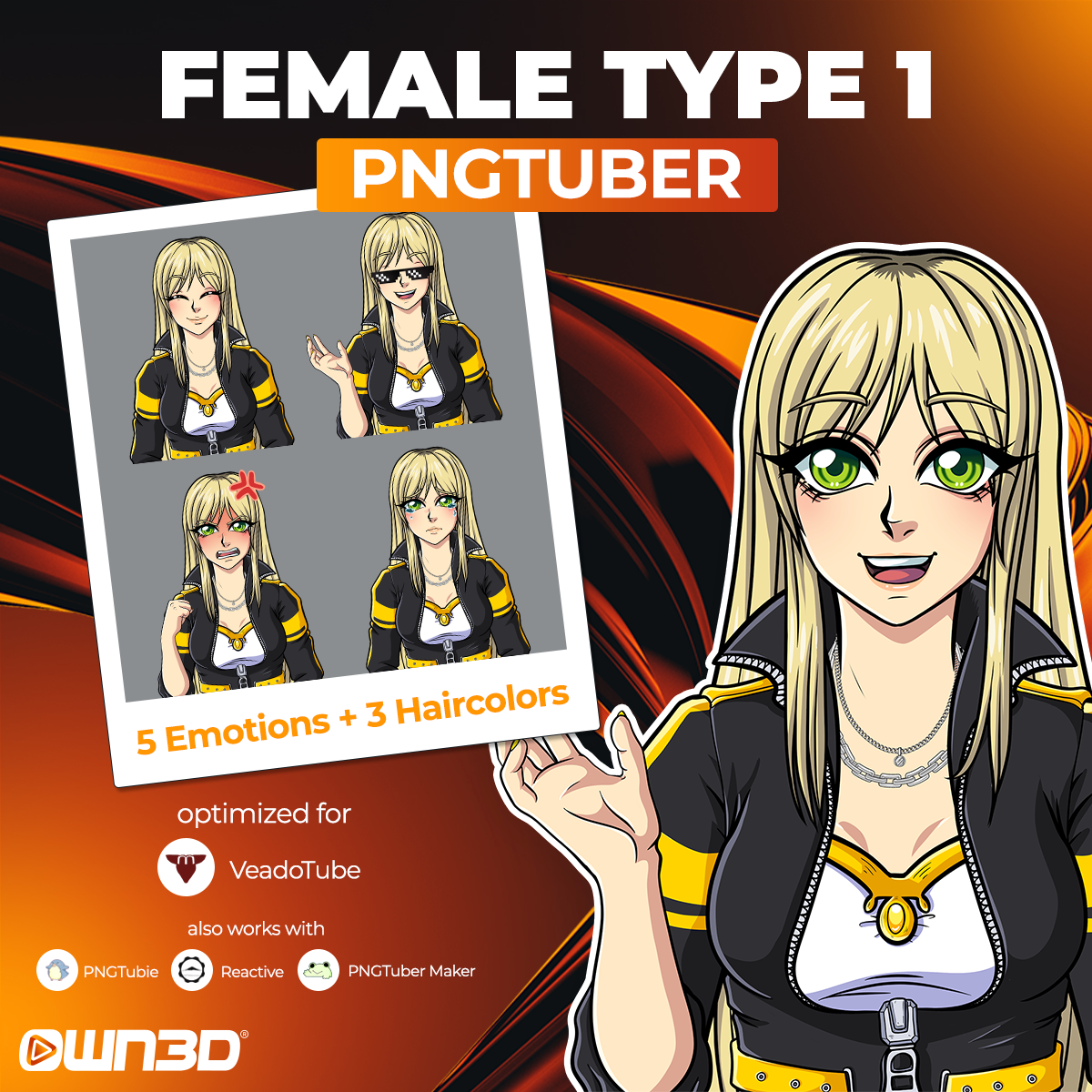 Animated Female Type 1 VTuber Models