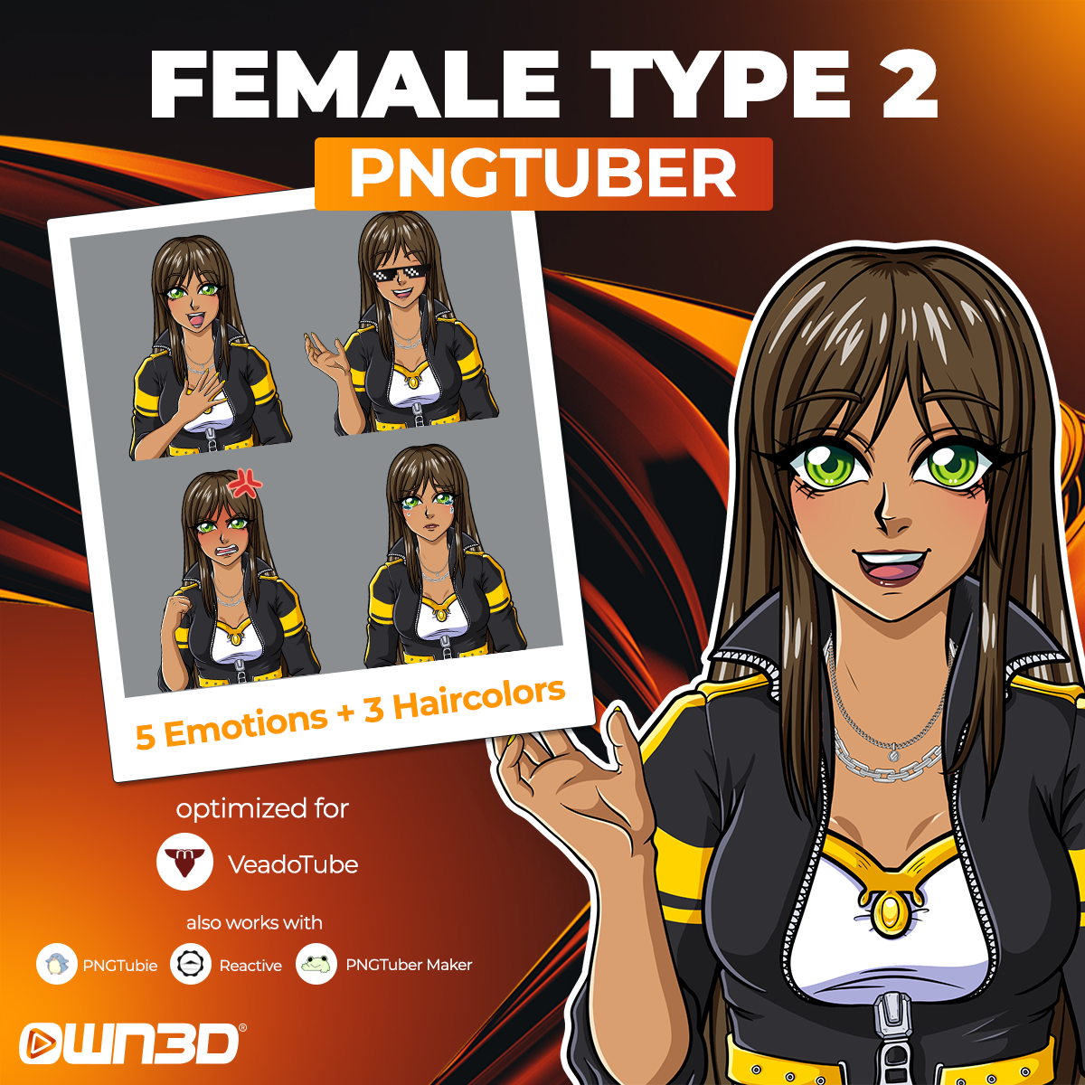Animated Female Type 2 VTuber Models