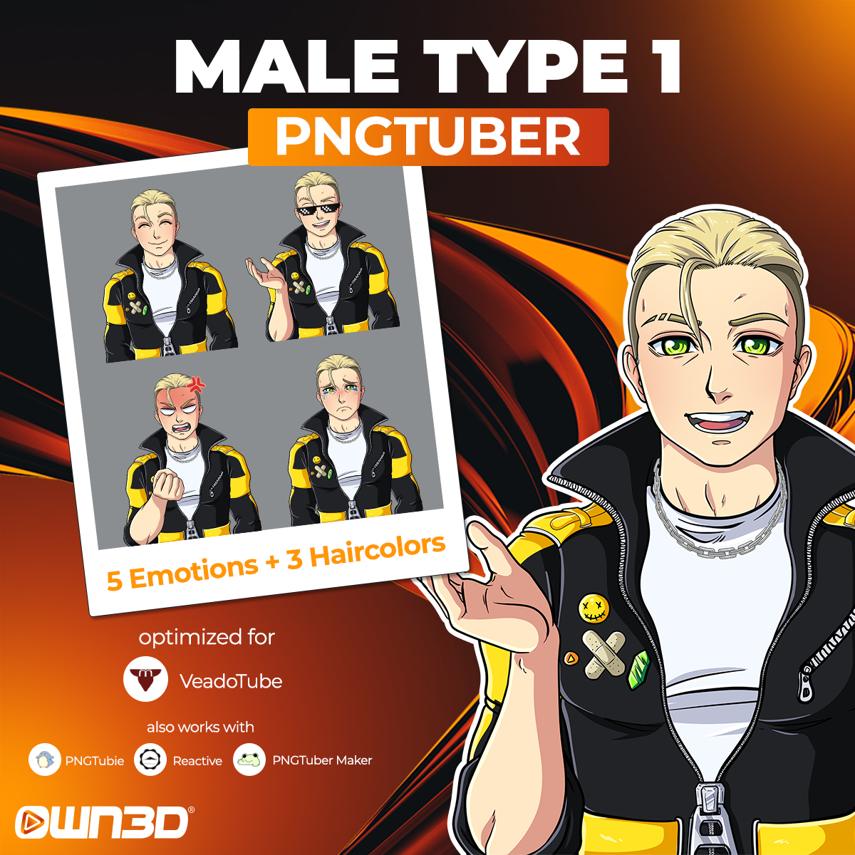 Animated Male Type 1 VTuber Models