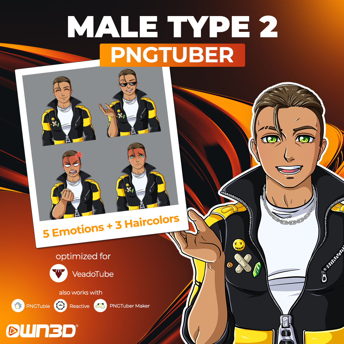 Animated Male Type 2 VTuber Models