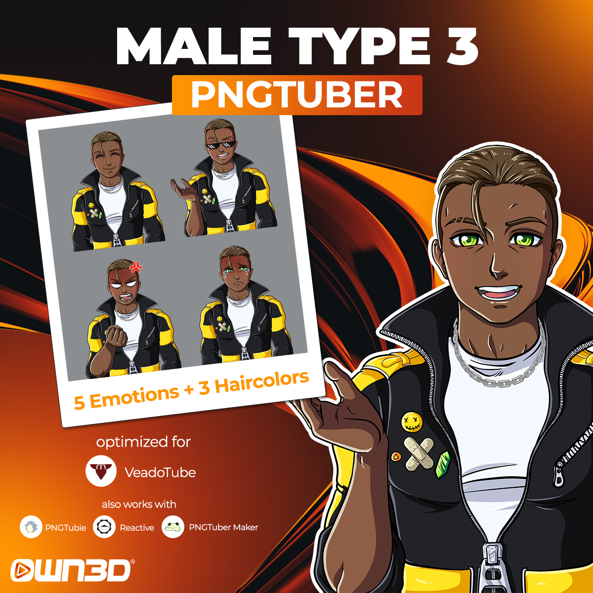 Animated Male Type 3 VTuber Models