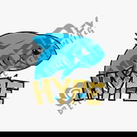Shark HYPE