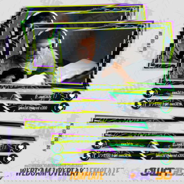 Animated Skylla Webcam Overlays
