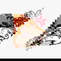 Tiger RAGE